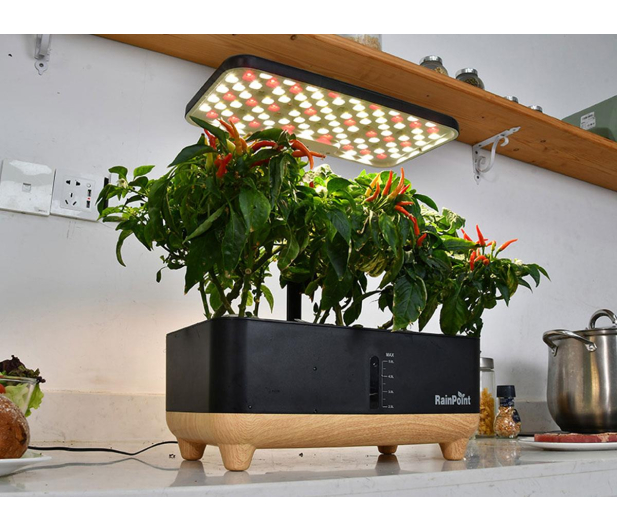 Rainpoint Zestaw do uprawy hydroponicznej - 1540785 - zdjęcie 4
